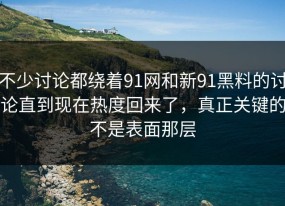 不少讨论都绕着91网和新91黑料的讨论直到现在热度回来了，真正关键的不是表面那层