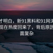 看完才明白，新91黑料和91网浏览器直到现在热度回来了，背后原因比表面复杂