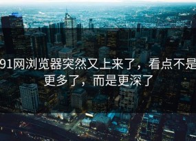 91网浏览器突然又上来了，看点不是更多了，而是更深了