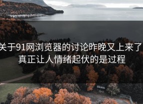 关于91网浏览器的讨论昨晚又上来了，真正让人情绪起伏的是过程