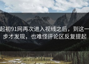起初91网再次进入视线之后，到这一步才发现，也难怪评论区反复提起