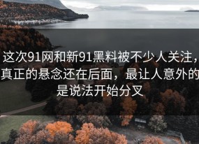 这次91网和新91黑料被不少人关注，真正的悬念还在后面，最让人意外的是说法开始分叉