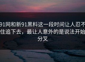 91网和新91黑料这一段时间让人忍不住追下去，最让人意外的是说法开始分叉