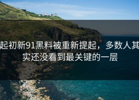 起初新91黑料被重新提起，多数人其实还没看到最关键的一层