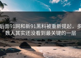 后面91网和新91黑料被重新提起，多数人其实还没看到最关键的一层