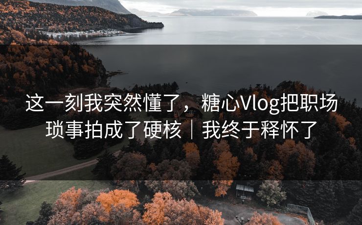 这一刻我突然懂了，糖心Vlog把职场琐事拍成了硬核｜我终于释怀了