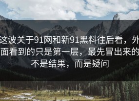这波关于91网和新91黑料往后看，外面看到的只是第一层，最先冒出来的不是结果，而是疑问