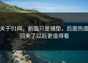 关于91网，前面只是铺垫，后面热度回来了以后更值得看