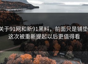 关于91网和新91黑料，前面只是铺垫，这次被重新提起以后更值得看