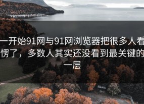 一开始91网与91网浏览器把很多人看愣了，多数人其实还没看到最关键的一层