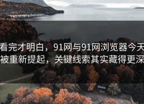 看完才明白，91网与91网浏览器今天被重新提起，关键线索其实藏得更深