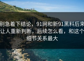 别急着下结论，91网和新91黑料后来让人重新判断，后续怎么看，和这个细节关系最大