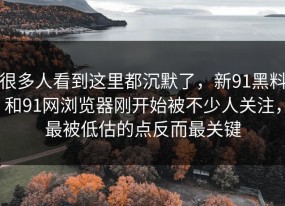 很多人看到这里都沉默了，新91黑料和91网浏览器刚开始被不少人关注，最被低估的点反而最关键