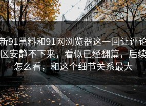 新91黑料和91网浏览器这一回让评论区安静不下来，看似已经翻篇，后续怎么看，和这个细节关系最大