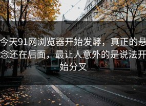 今天91网浏览器开始发酵，真正的悬念还在后面，最让人意外的是说法开始分叉