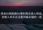 原本91网和新91黑料再次进入视线，多数人其实还没看到最关键的一层