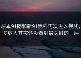 原本91网和新91黑料再次进入视线，多数人其实还没看到最关键的一层