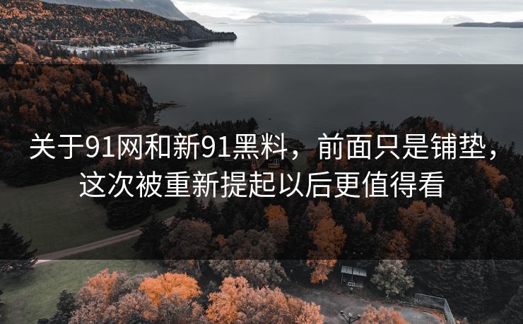 关于91网和新91黑料，前面只是铺垫，这次被重新提起以后更值得看
