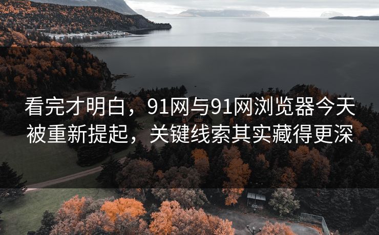 看完才明白，91网与91网浏览器今天被重新提起，关键线索其实藏得更深
