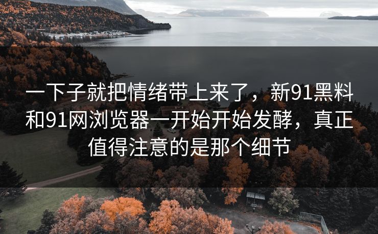 一下子就把情绪带上来了，新91黑料和91网浏览器一开始开始发酵，真正值得注意的是那个细节