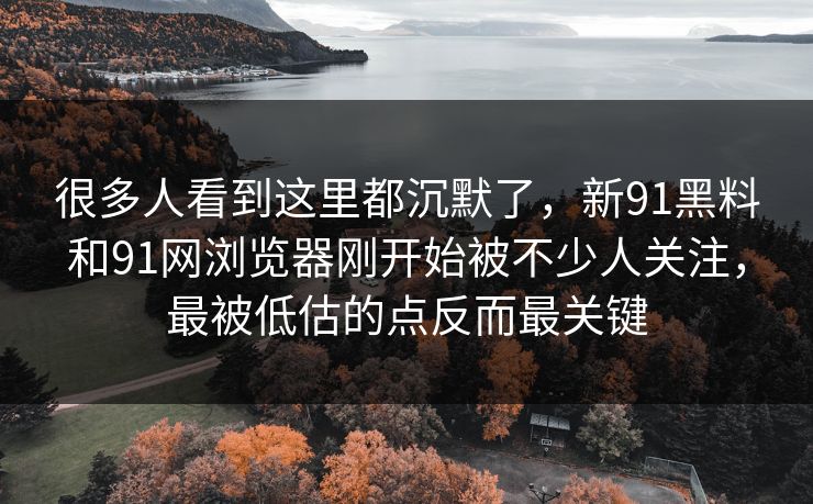很多人看到这里都沉默了，新91黑料和91网浏览器刚开始被不少人关注，最被低估的点反而最关键