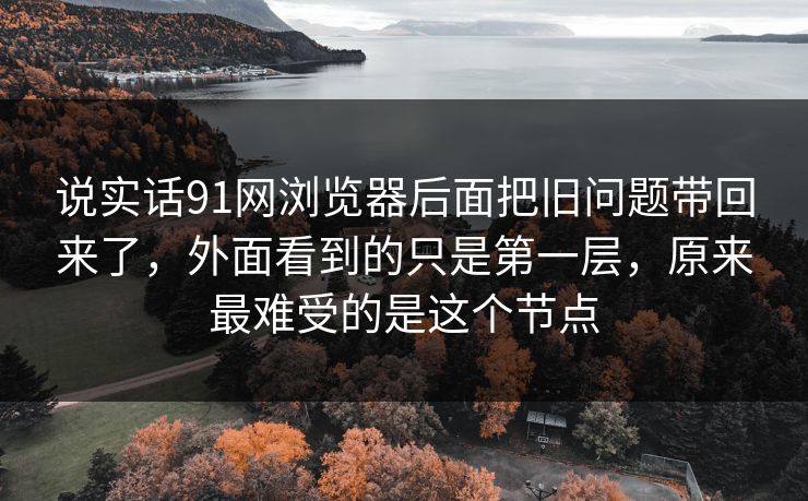 说实话91网浏览器后面把旧问题带回来了，外面看到的只是第一层，原来最难受的是这个节点